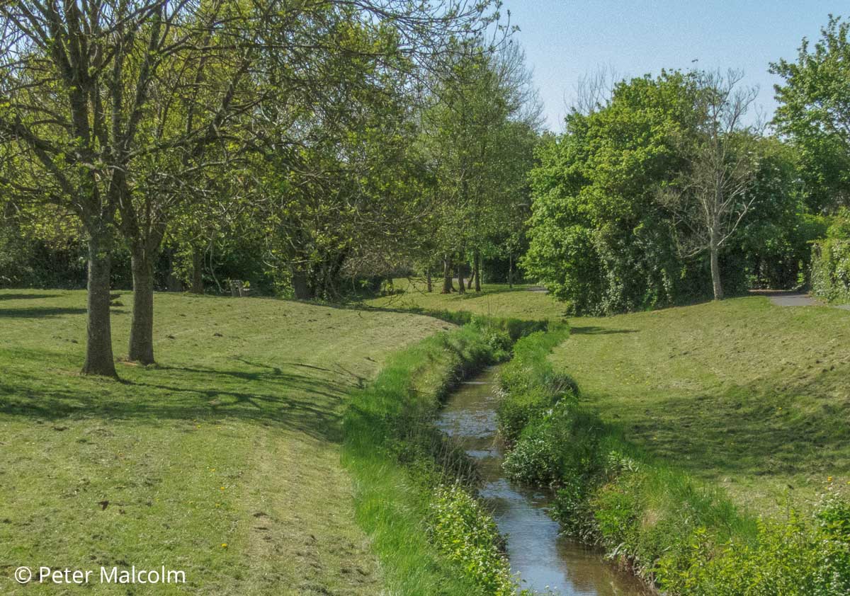 Petty's Brook