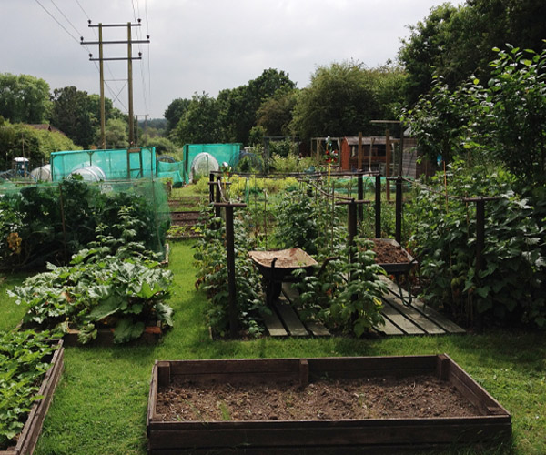 Allotments